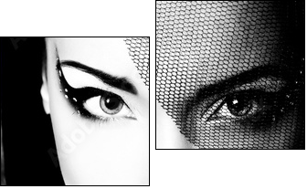 portrait of beautiful young woman, black and white retro styliza - Two-piece canvas, Diptych