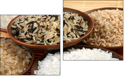 Rice set - Two-piece canvas, Diptych