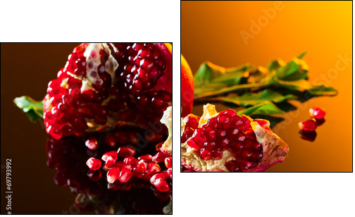 pomegranate - Two-piece canvas, Diptych