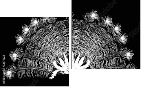 peacock feather fan silhouette on black - Two-piece canvas, Diptych