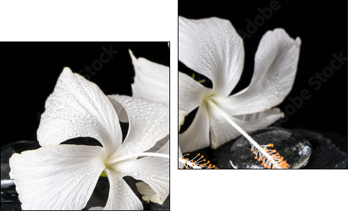 Beautiful cryogenic spa concept of delicate white hibiscus, zen - Two-piece canvas, Diptych