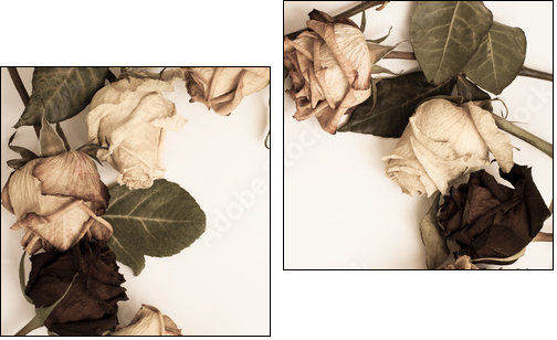 withered rose - Two-piece canvas, Diptych