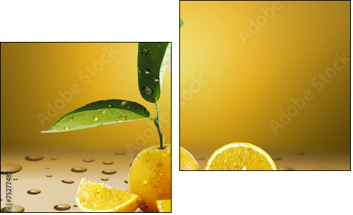 Laranja Molhada - Two-piece canvas, Diptych