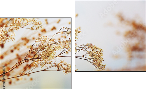 Dried flowers background - Two-piece canvas, Diptych