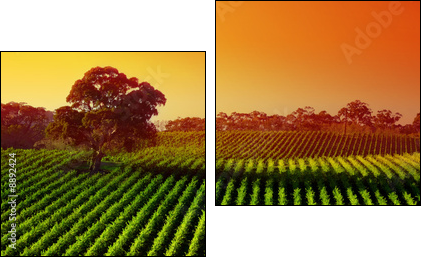 Beautiful Vineyard Landscape with large gum tree - Two-piece canvas, Diptych