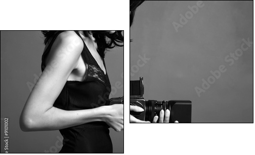 Fashion portrait of young photographing lady - Two-piece canvas, Diptych