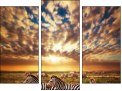 Triptych - Three-piece canvas
