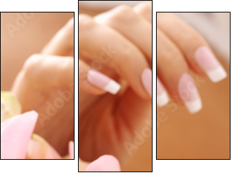 hands care. Female hands holding rose petals - Three-piece canvas, Triptych