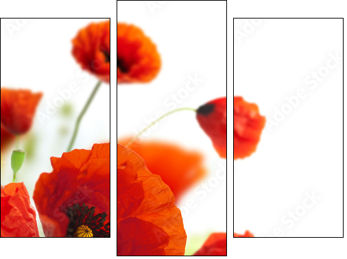 floral design, decoration flowers, poppies border - corner - Three-piece canvas, Triptych