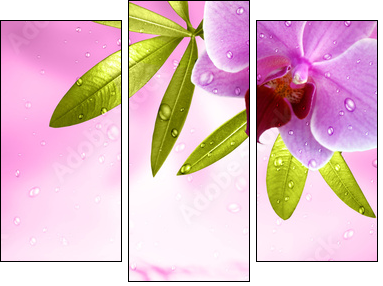 Wellness Motiv mit Orchidee - Three-piece canvas, Triptych