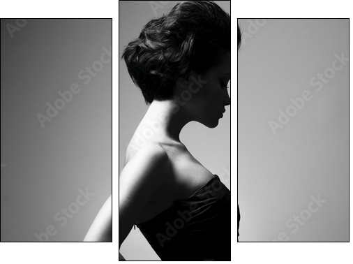 Elegant lady with stylish hairstyle - Three-piece canvas, Triptych