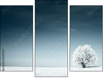 Tree - Three-piece canvas, Triptych