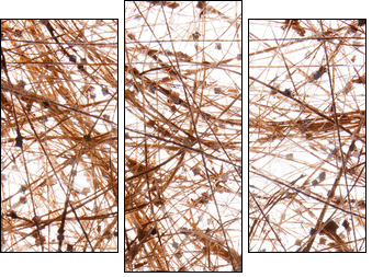 sisal background - Three-piece canvas, Triptych