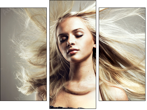 Beautiful woman with magnificent hair - Three-piece canvas, Triptych