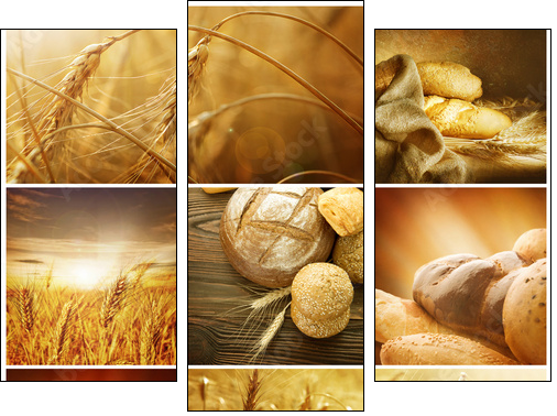 Wheat Collage.Harvest concepts - Three-piece canvas, Triptych