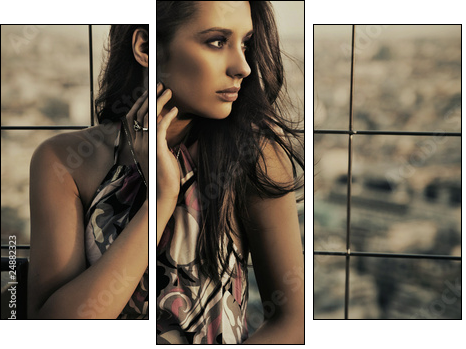 beauty posing over urban background - Three-piece canvas, Triptych