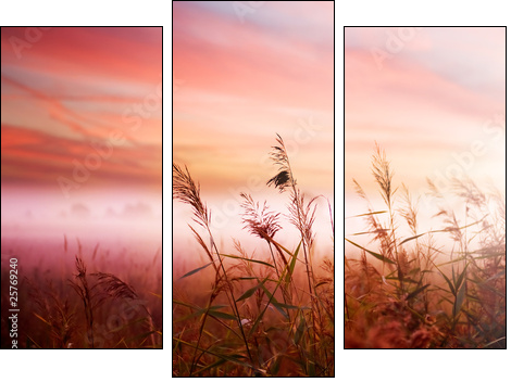Foggy Landscape.Early Morning Mist. - Three-piece canvas, Triptych