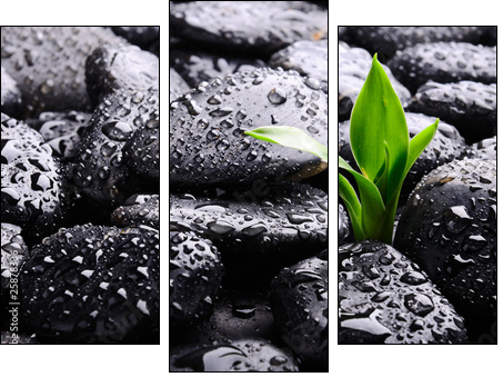 Spa concept - Three-piece canvas, Triptych