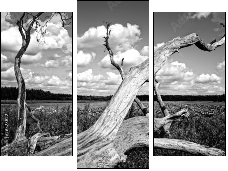 Drzewo - Three-piece canvas, Triptych