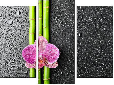spa background - Three-piece canvas, Triptych