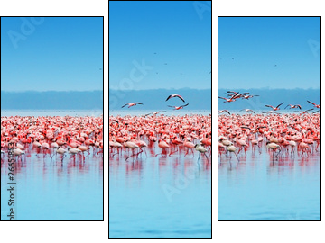 African flamingos - Three-piece canvas, Triptych