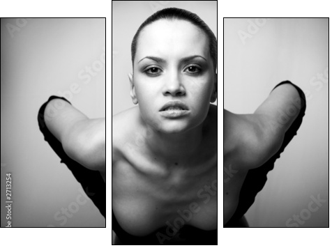 portrait of beauty. sexy fashion girl. - Three-piece canvas, Triptych