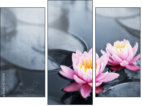 Lotus blossoms - Three-piece canvas, Triptych
