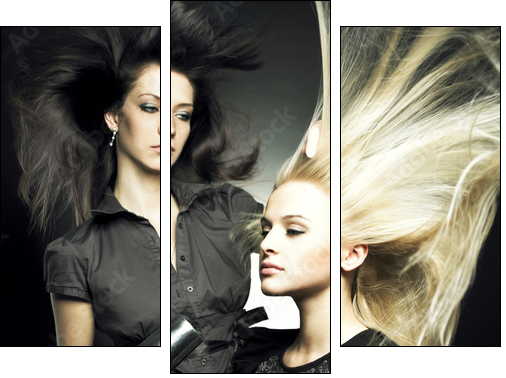 Woman in a beauty salon - Three-piece canvas, Triptych