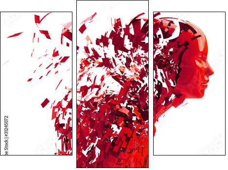 abstract character shattered into pieces - Three-piece canvas, Triptych