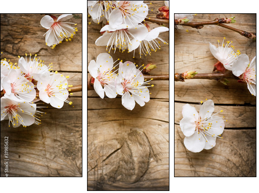 Wood background with spring blossom - Three-piece canvas, Triptych