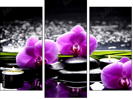 Spa still life with set of pink orchid and stones reflection - Three-piece canvas, Triptych