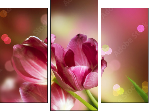 Flowers. Anniversary Card Design - Three-piece canvas, Triptych