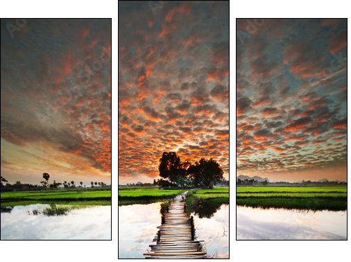 Tropical river - Three-piece canvas, Triptych