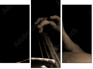 Musician playing contrabass - Three-piece canvas, Triptych