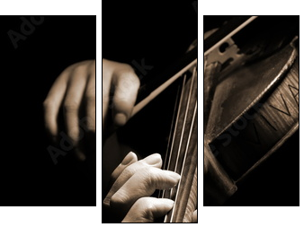 Musician playing violin isolated on black - Three-piece canvas, Triptych