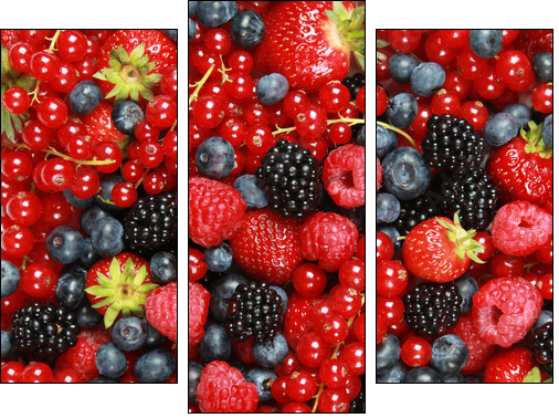 Beeren - Three-piece canvas, Triptych