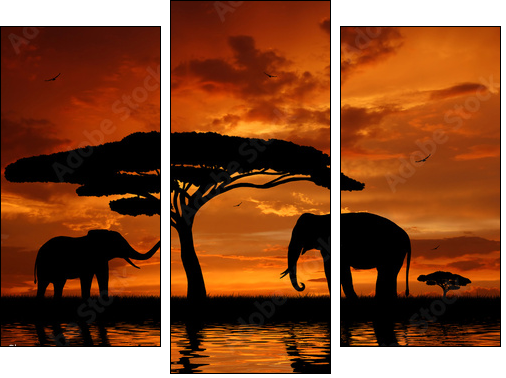 Silhouette two elephants in the sunset - Three-piece canvas, Triptych
