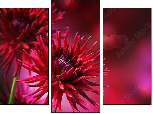 Dahlia Autumn flower design - Three-piece canvas, Triptych