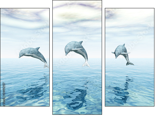 Jumping Dolphins - Springende Delfine - Three-piece canvas, Triptych