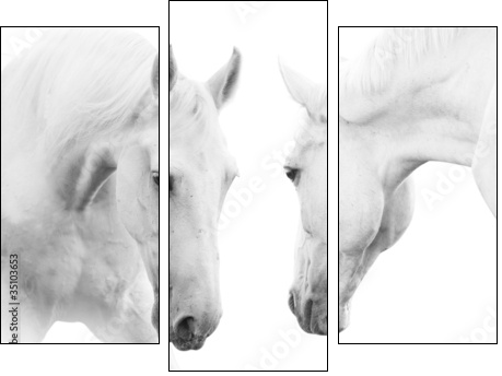 white horses - Three-piece canvas, Triptych