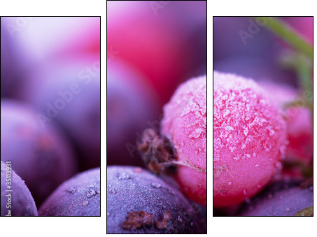 Frozen berries - Three-piece canvas, Triptych