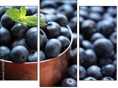 Blueberries - Three-piece canvas, Triptych