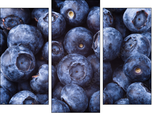 many blueberries - Three-piece canvas, Triptych
