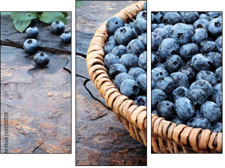 Fresh Blueberries - Three-piece canvas, Triptych