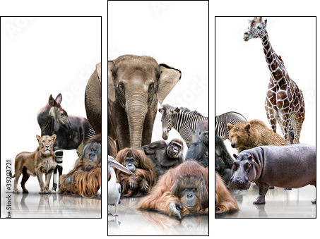 Wilde Tiere - Three-piece canvas, Triptych