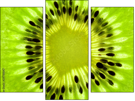 Fresh Kiwi background / SuperMacro / back lit - Three-piece canvas, Triptych