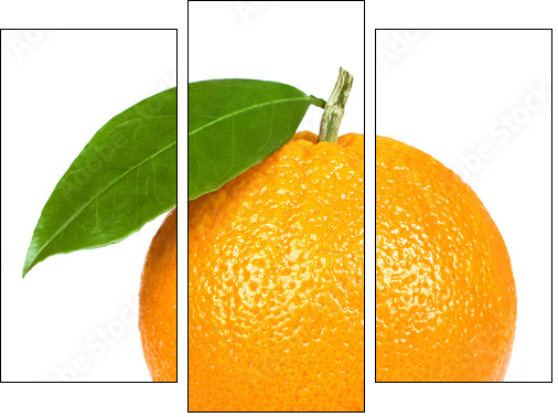 Ripe orange isolated on white background - Three-piece canvas, Triptych