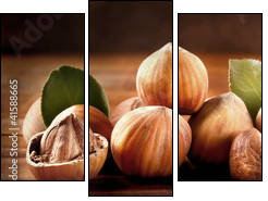 Gruppo di Nocciole - Three-piece canvas, Triptych