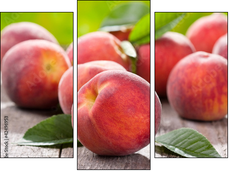 fresh peaches - Three-piece canvas, Triptych