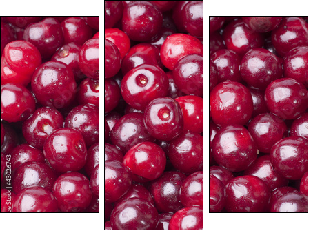 Cherry - Three-piece canvas, Triptych